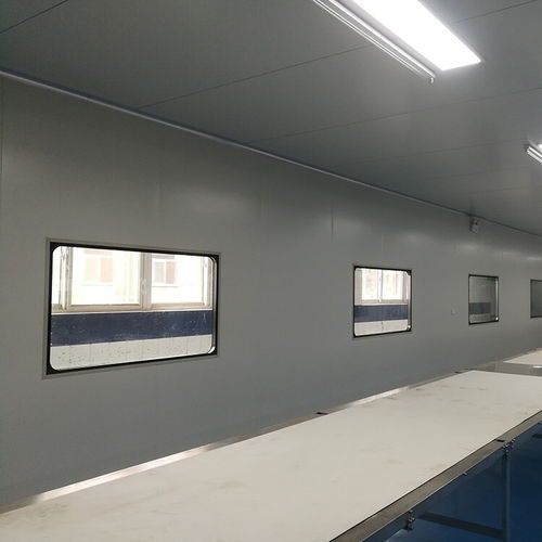 山東聊城食品廠食品廠無塵車間